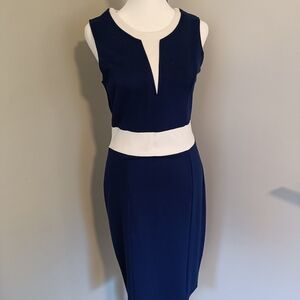 Elegant Navy and White Midi Dress